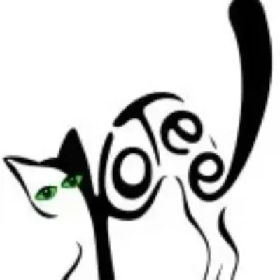 Kotee - cropped-kotee_logo.webp